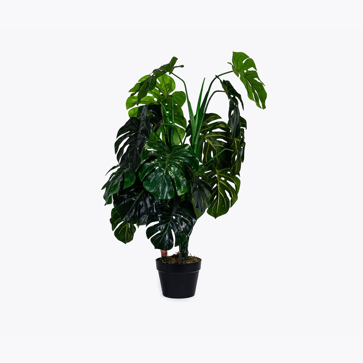 Location Plante artificielle Monstera Accessoires mobilier