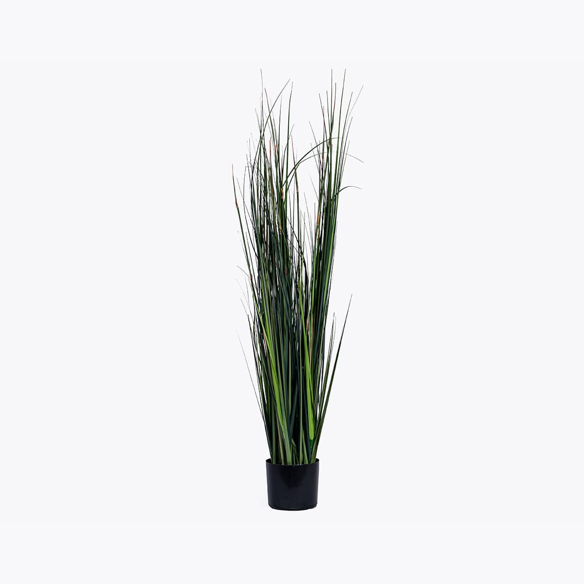 Location Roseaux artificiels Accessoires mobilier